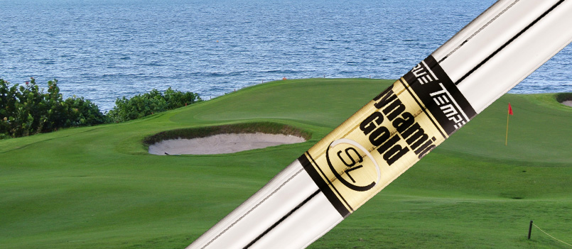 True Temper Dynamic Gold SL Golf Shaft China